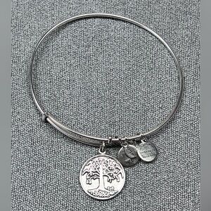 Alex and Ani silver tone bangle bracelet with tree of life charm.